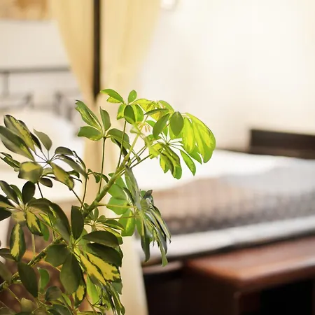 Hanul Fullton Hotel 3*