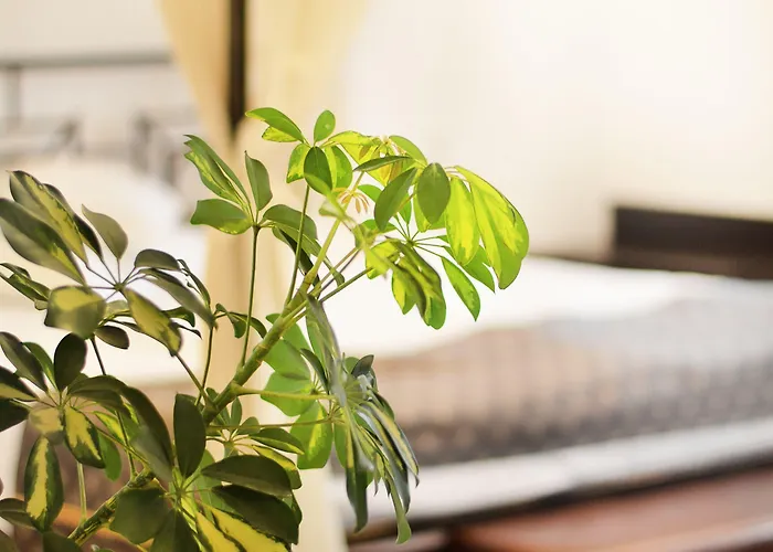 Hanul Fullton Hotel 3*