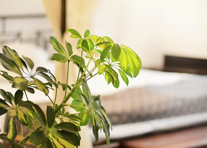 Hanul Fullton Hotel 3*